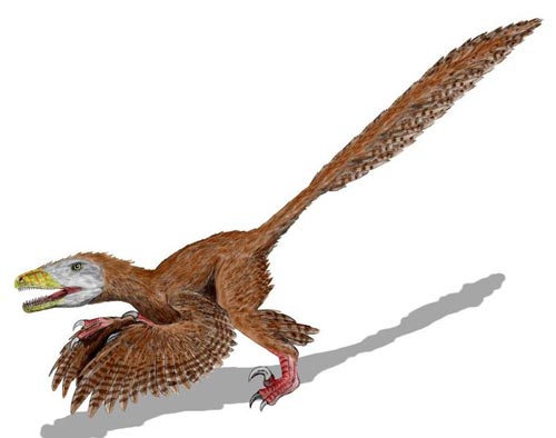 Gefiederter Deinonychus