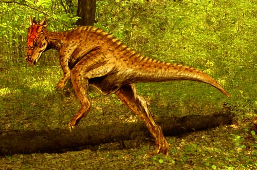 Dracorex hogwartsia