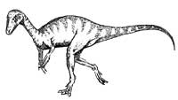 Eoraptor zum Ausmalen