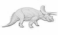 Triceratops zum Ausmalen